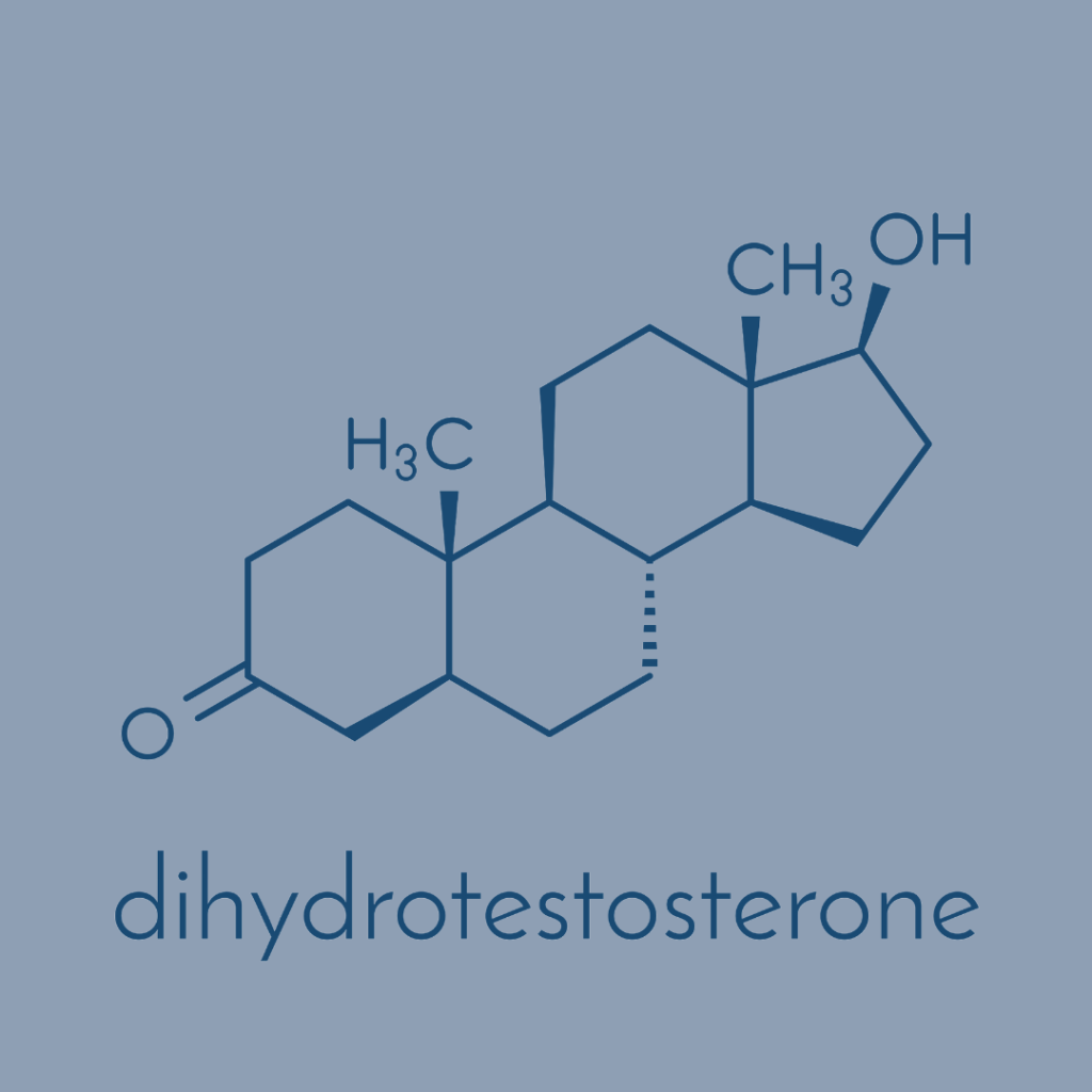 hormone molecule of dihydrotestosterone