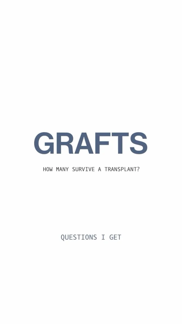 Every graft counts during hair transplant surgery - here’s how we protect them.

Chilled preservation solutions, intentional handling, in-procedure PRP, and post-op protocols that matter - every step is designed to give your grafts the best chance at survival. We do everything in our power to make sure your transplant isn’t just successful - it’s exceptional.

Comment RESTORE to schedule your consultation with one of our double board-certified facial plastic surgeons.​​​​​​​​​​​​​​​​